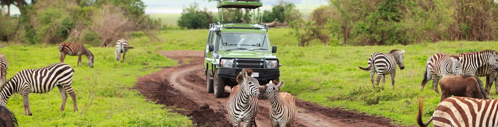globus kenya and tanzania the safari experience