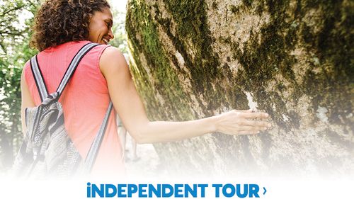 independent tour